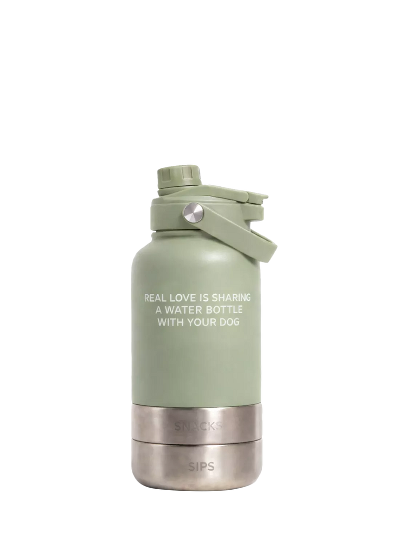 By Teddy Bowl Bottle 3-in-1 dog bottle green mid - British product
