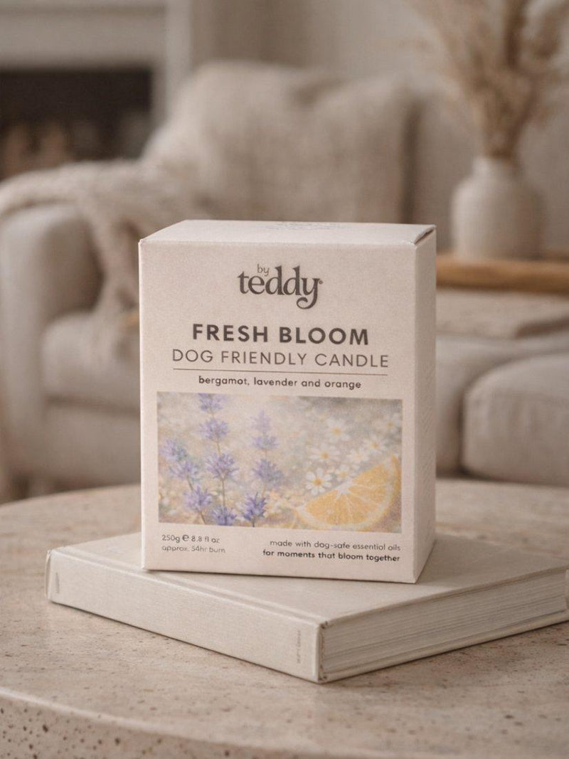 By Teddy Fresh Bloom scented candle 250g, imported from the UK