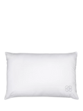 Gingerlily Silk Blend Standard Pillow, White