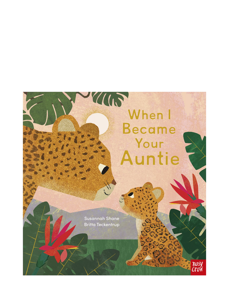 Nosy Crow When I Became Your Auntie children's picture book hardback, UK version