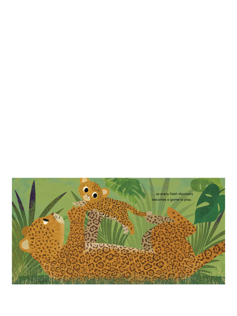 Nosy Crow When I Became Your Auntie children's picture book hardback, UK version