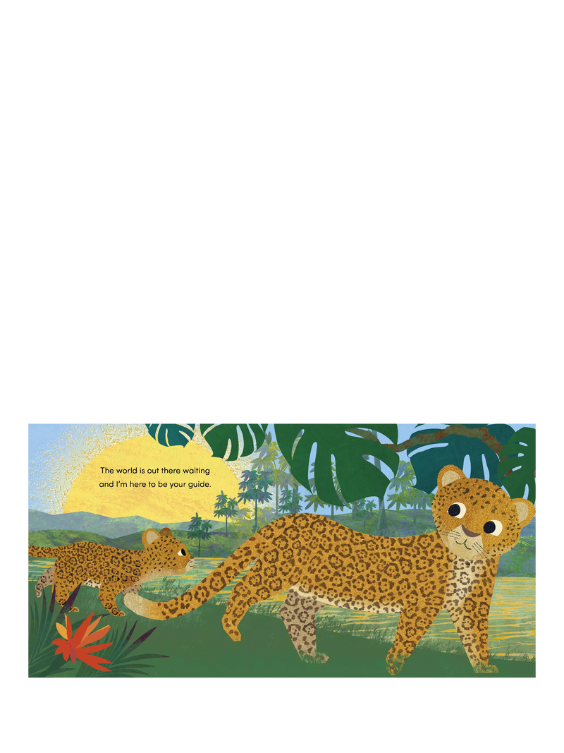 Nosy Crow When I Became Your Auntie children's picture book hardback, UK version