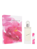 Chantecaille Rose Harvest Duo fragrance gift set with Darby Rose EDP and lip balm, imported from the UK