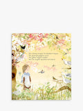Julia Donaldson The Magic Feather children's picture book, UK version