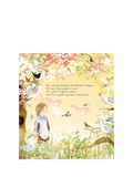 Julia Donaldson The Magic Feather children's picture book, UK version