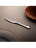 Robert Welch Radford Bright butter knives set of 4, imported from the UK