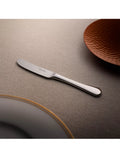 Robert Welch Radford Bright butter knives set of 4, imported from the UK