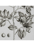 Neptune Whitechapel II print 109x79cm (British brand)