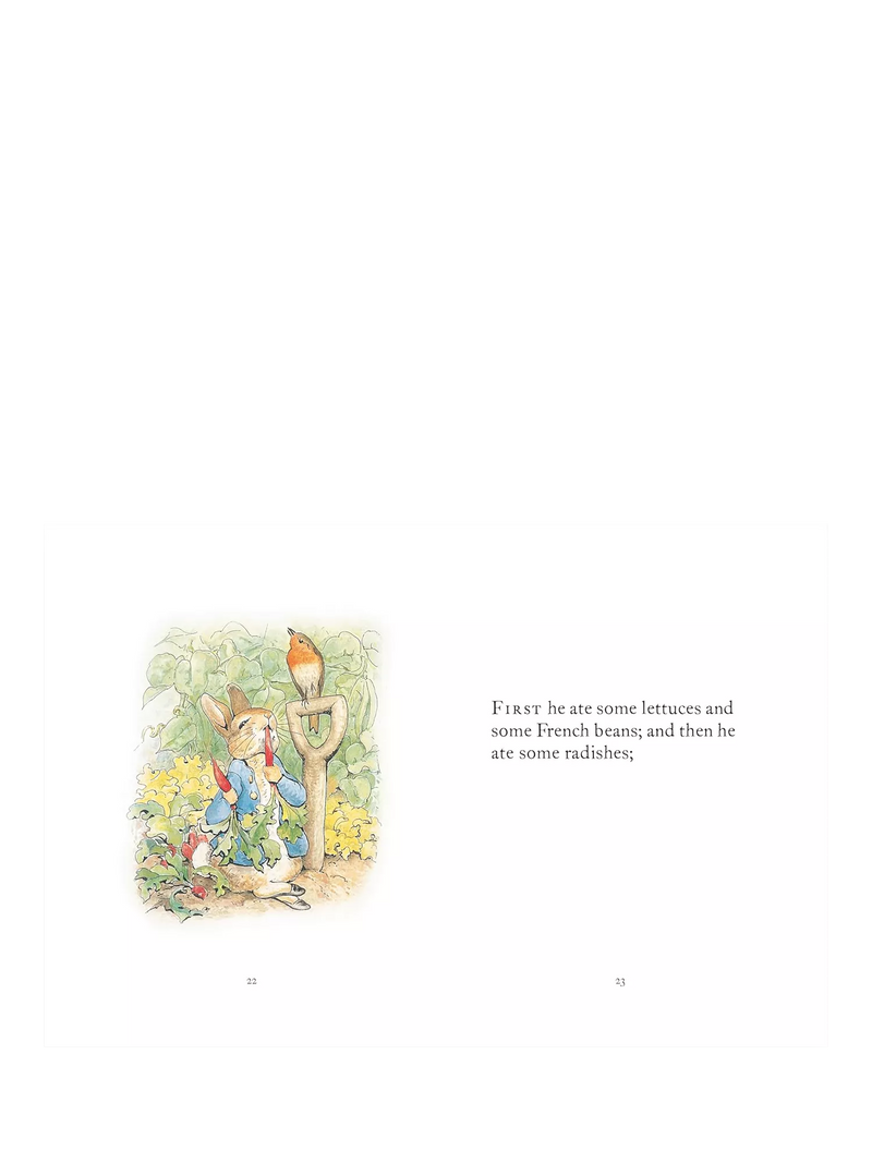 Peter Rabbit My First Collection 4-book boxed set (British brand)