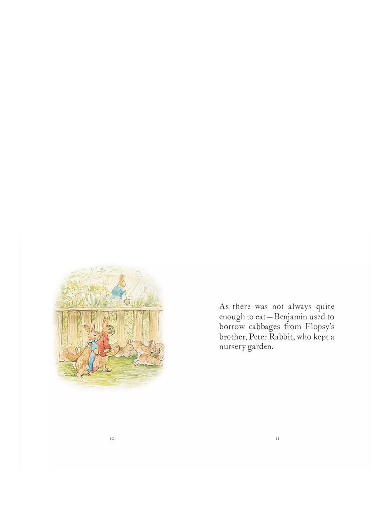 Peter Rabbit My First Collection 4-book boxed set (British brand)