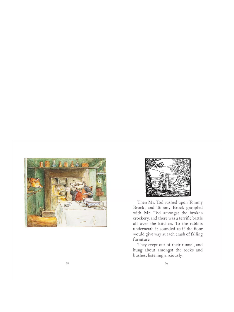 Peter Rabbit My First Collection 4-book boxed set (British brand)
