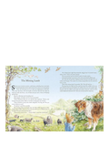 Peter Rabbit Tales from the Countryside hardback storybook (British brand)