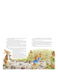Peter Rabbit Tales from the Countryside hardback storybook (British brand)