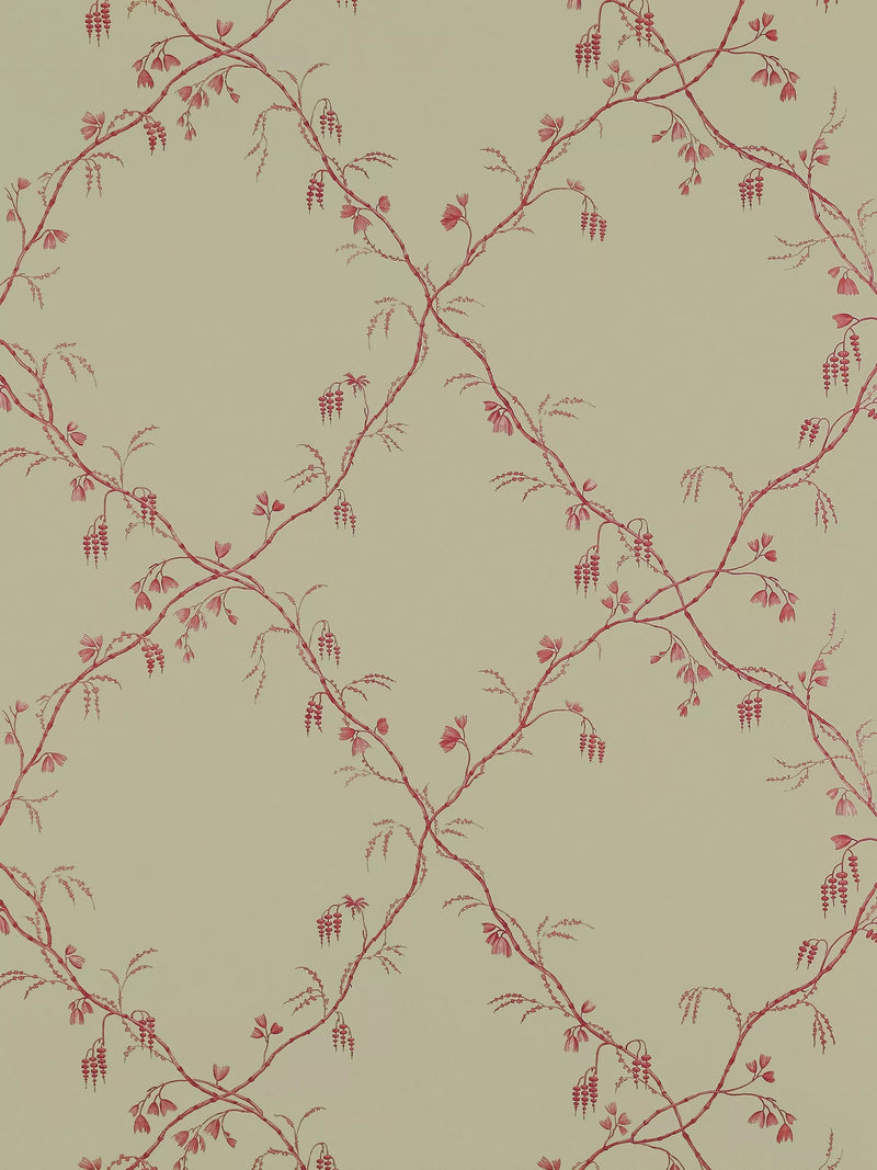 Colefax and Fowler Roussillon Trellis Wallpaper - W68.5cm x L10m