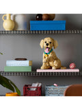 LEGO Golden Retriever Puppy building set 2102 pieces, UK version