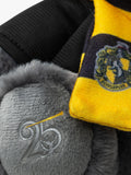 Care Bears Harry Potter Hufflepuff Love-a-Lot Bear plush, UK version