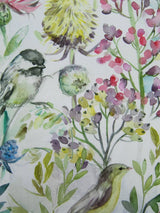 John Lewis Voyage Morning Chorus Furnishing Fabric, Cream, 140cm x 100cm- Buy online at McGrocer