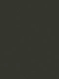 Abigail Ahern Matt Emulsion Paint, 2.5L, Beekman Black