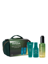 John Lewis Aveda Shine with Strength Haircare Gift Set- Buy online at McGrocer