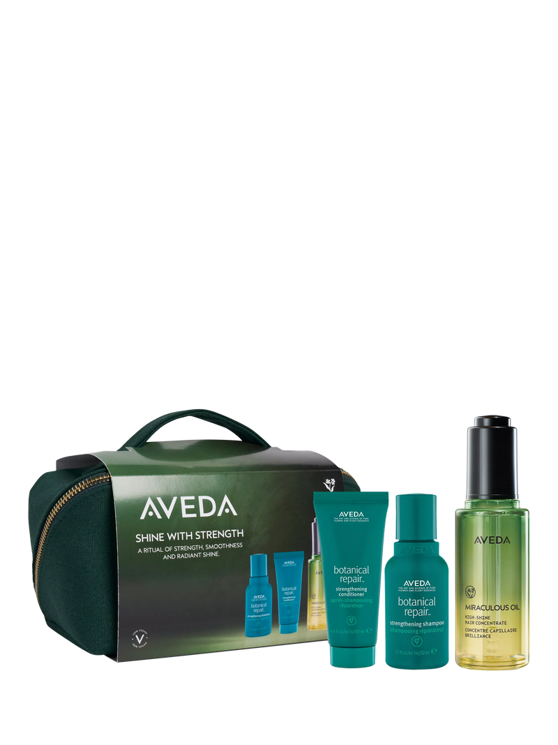 Aveda haircare gift set Shine with Strength travel sizes (British brand)