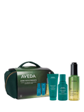Aveda haircare gift set Shine with Strength travel sizes (British brand)