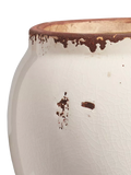 OKA Birdsong scented candle 1.6kg, UK version