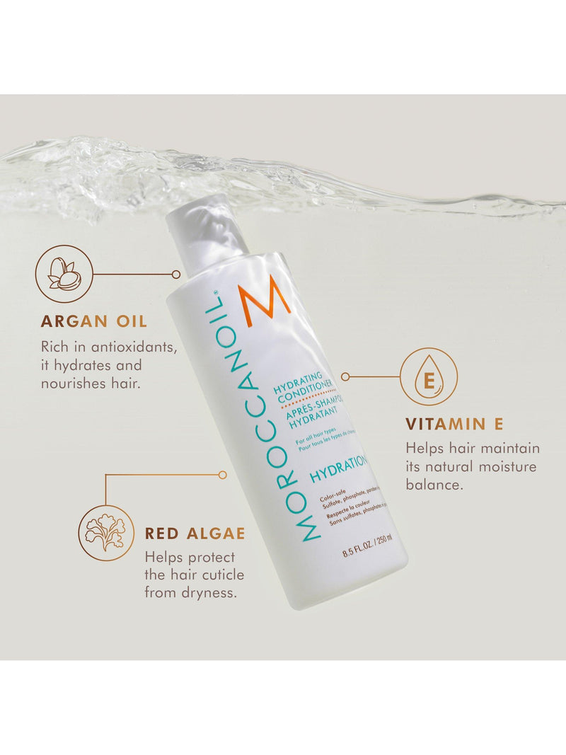 Moroccanoil hydration duo gift set 500ml, UK version