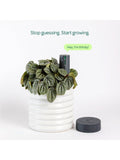 Willow indoor plant sensor starter pack with Wi-Fi hub, UK version