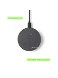 Willow smart plant sensor urban jungle pack - British product