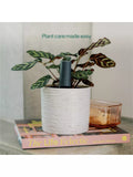 Willow smart plant sensor urban jungle pack - British product