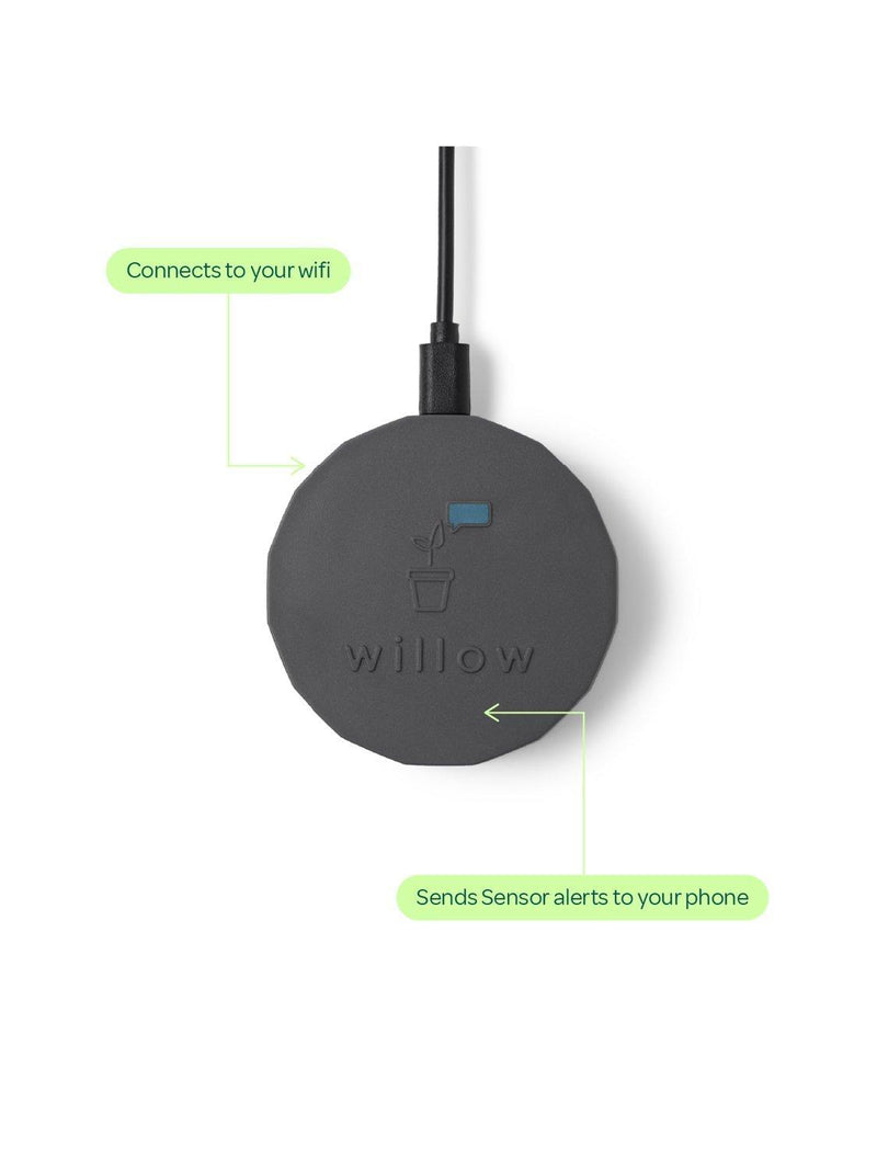 Willow smart indoor plant sensor charcoal - British product