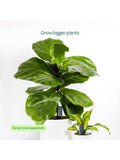 Willow large pot extension charcoal for smart plant sensor (British brand)