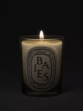 Diptyque Baies classic scented candle 190g (British brand)