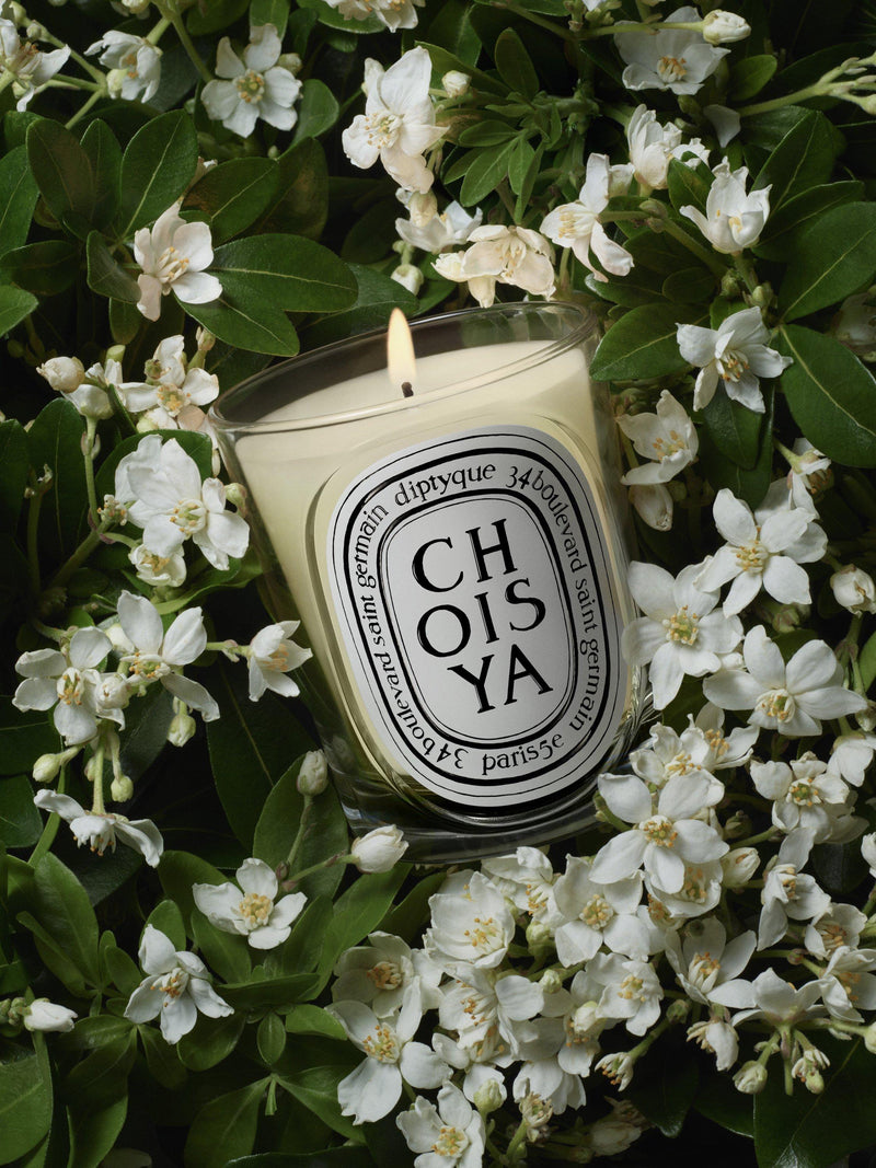 Diptyque Choisya scented candle 190g (British brand)