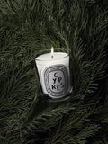Diptyque Cypres scented candle 190g - British product
