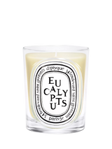 John Lewis Diptyque Eucalyptus Classic Scented Candle 190g- Buy online at McGrocer