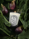 Diptyque Figuier scented candle 190g, UK version