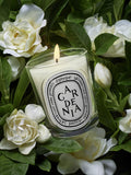 Diptyque Gardenia scented candle 190g - British product