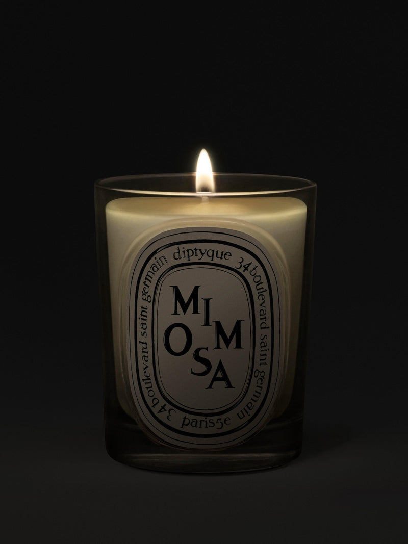 Diptyque Mimosa classic scented candle 190g (British brand)