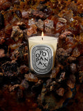 Diptyque Opopanax Scented Candle 190g, imported from the UK