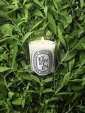 Diptyque Verveine classic scented candle 190g - British product