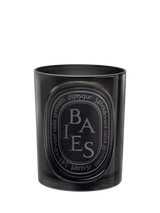 John Lewis Diptyque Baies Medium Scented Candle 300g- Buy online at McGrocer