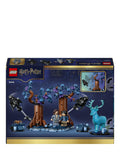 LEGO Harry Potter Forbidden Forest Expecto Patronum building set 244 pieces (British brand)