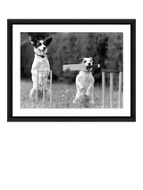 John Lewis Brookpace Lascelles Cricket in the Park Framed Photographic Print, Black and White, 45 x 55cm- Buy online at McGrocer