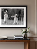 Brookpace Lascelles framed print Cricket in the Park 45x55cm (British brand)