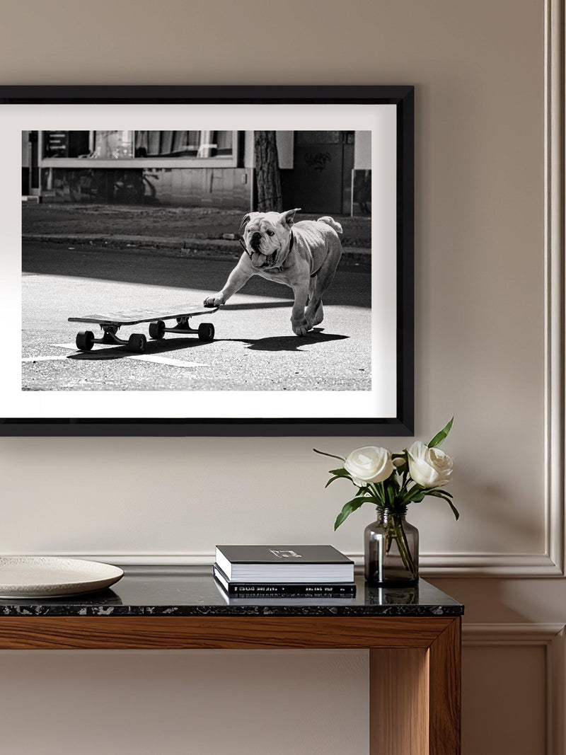 Brookpace Lascelles Park Life photographic print bulldog London (British brand)