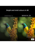 Sony Bravia 43 inch 4K HDR Smart TV (British brand)