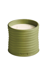 John Lewis LOEWE Pistachio Scented Candle 610g- Buy online at McGrocer