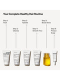 Olaplex Healthy Hair Discovery Gift Set (British brand)