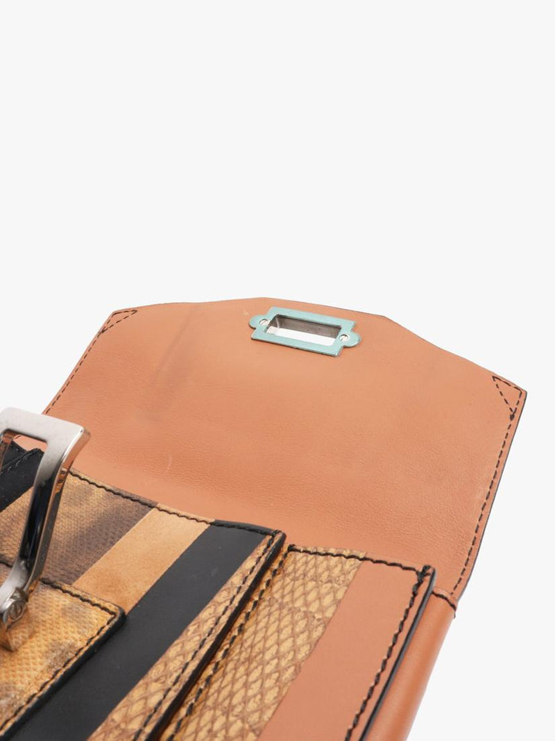 Proenza Schouler clutch bag brown striped exotic leather 19cm (British brand)